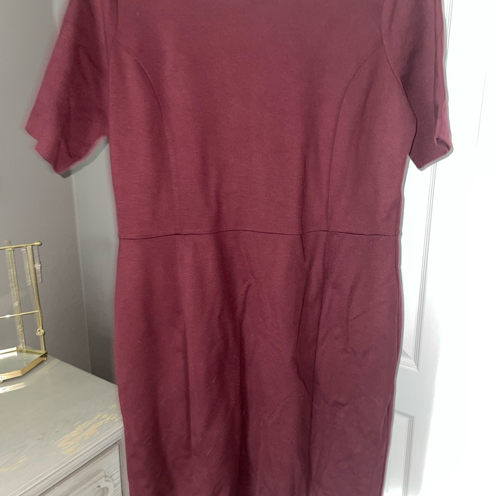 Ann Taylor Shift Dress in Seasonless Stretch. Elbow length sleeve 10 petite.